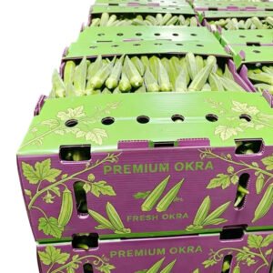 Custom Recyclable Foldable PP Corrugated Plastic Vegetable Storage & Harvest Boxes