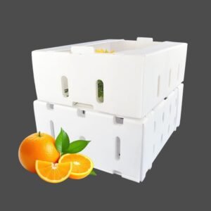Durable Waterproof Corrugated Plastic Shipping Boxes | Recyclable Large Size Fruit and Vegetable Box
