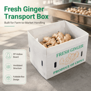 Durable Ventilated Ginger Packaging Box: Custom PP Hollow Board for Fresh Farm Transport