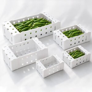 Custom PP Corrugated Okra Box | Ventilated Farm Storage Design | Durable Fresh Produce Packaging