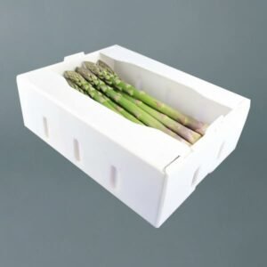 Custom Die-Cut PP Corrugated Asparagus Packaging | Ventilated & Durable Fresh Produce Box