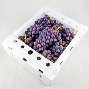 Custom PP Hollow Board Grape Packaging Box | Die-Cut Ventilated Fruit Transport Bin | Durable Fresh Produce Container