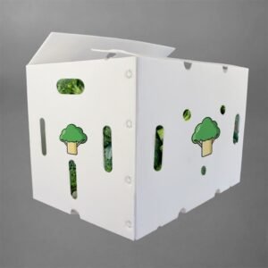 Custom PP Hollow Board Broccoli Packaging Box, Die-Cut Ventilated Fresh Produce Transport Container, Durable
